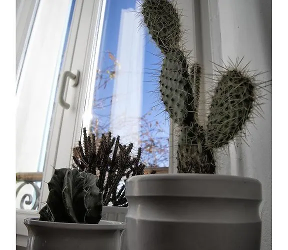 塞姆普瓦德别墅住宿加早餐旅馆 洛迦诺